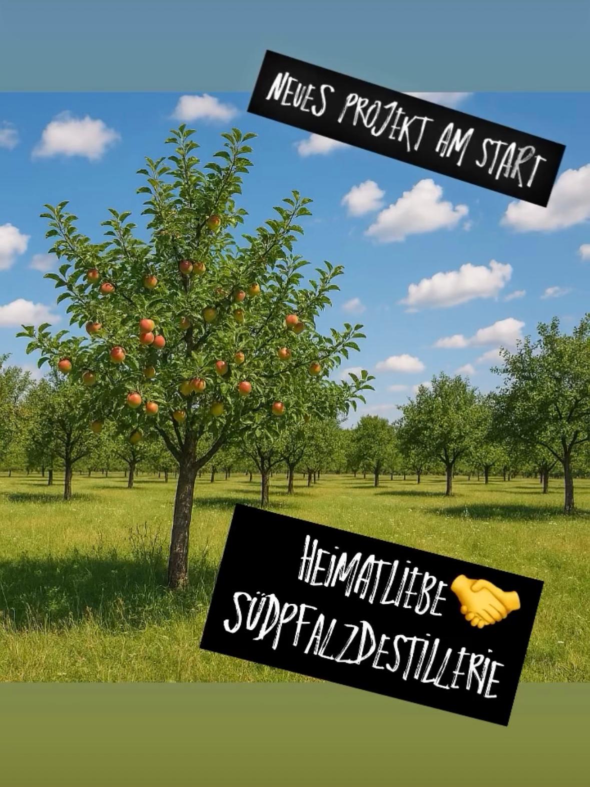 NEUE KOOPERATION: Südpfalz-Destillerie und HEIMAT-Liebe e.V.